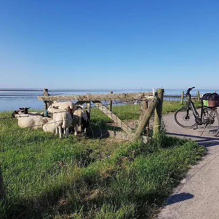 K16 Freistehendes In Eckwarderhoerne Prázdninový dům